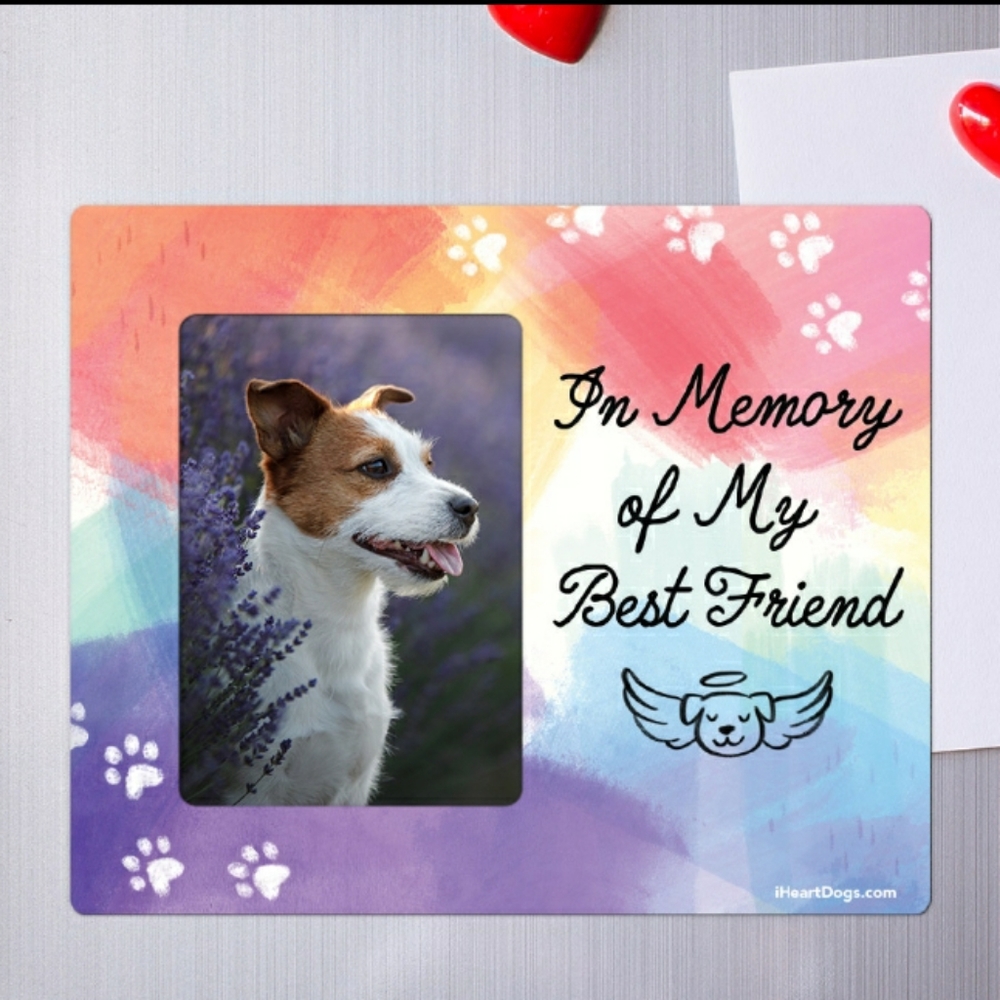 In Memory Of My Bestfriend Picture Frame Magnet
